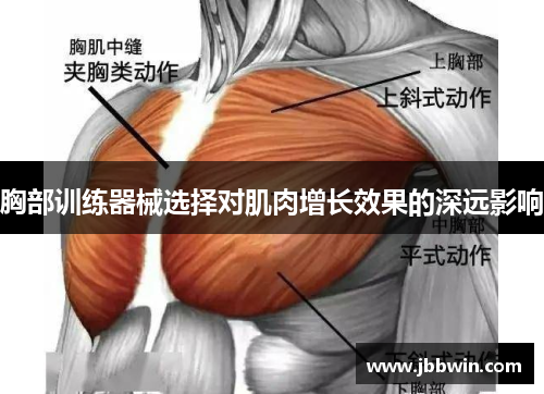 胸部训练器械选择对肌肉增长效果的深远影响