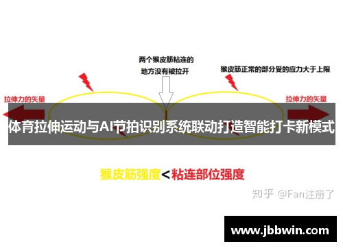体育拉伸运动与AI节拍识别系统联动打造智能打卡新模式